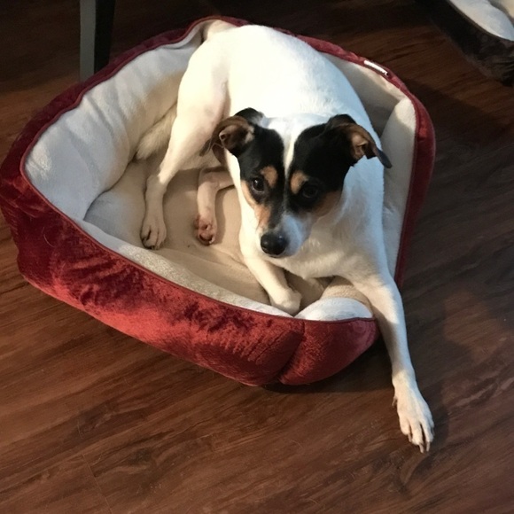 PFACTOR Quality Products @ Bargain Prices - Picture 11 of 12